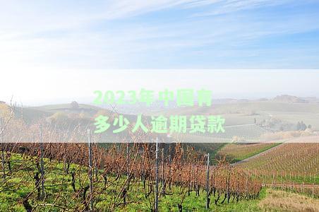 中国目前贷款逾期人数统计：多少人正在逾期，多少人曾逾期过？