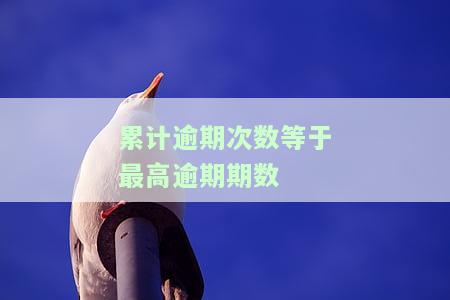累计逾期次数超标，警惕！你的信贷记录中出现累计逾期次数超标的情况