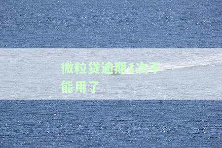 微粒贷逾期一次后就不可以用了吗，微粒贷逾期一次后是否会影响再次使用？