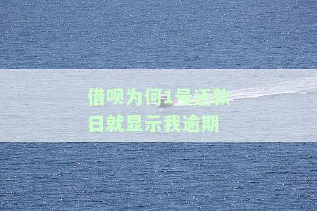借呗为何1号还款日就显示我逾期了，为什么借呗在1号还款日就显示我逾期了？