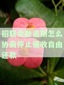 如何避免招联金融逾期催收给家人发短信？