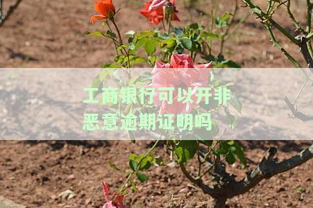工商银行非恶意逾期证明本模板，工行非恶意逾期证明模板：一份解决逾期问题的有效工具