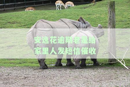 安逸花逾期会联系家人打电话催收吗？是否会拨打至朋友或通讯录中的人？