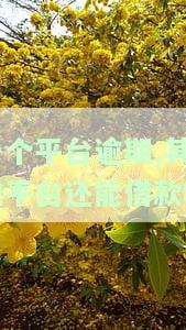 一个平台逾期,其他平台还能借款吗，多个贷款平台逾期，对其他平台借款有影响吗？