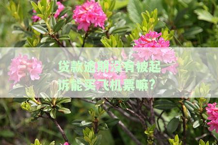 欠银行贷款没被起诉可以出国吗，欠银行贷款未被起诉是否影响出国？