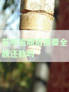 花呗逾期后需要全额还款吗？解决方案大揭秘！
