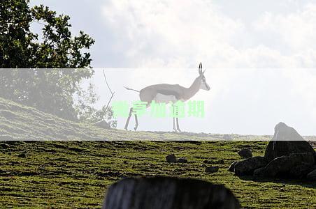 微享加逾期不还会怎么样，微享加逾期未还款的后果是什么？