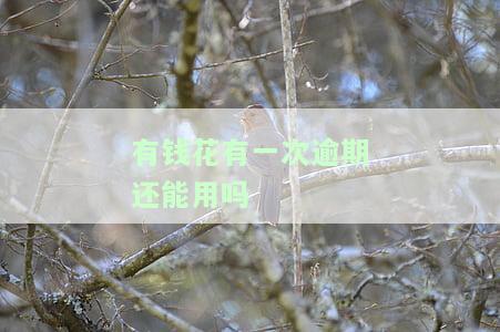 有钱花有一次逾期还能用吗知乎，知乎：有钱花逾期一次，账户是否还能继续使用？