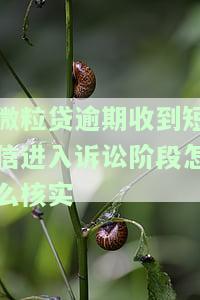 微粒贷逾期收到短信进入诉讼阶怎么核实真实信息，如何核实微粒贷逾期诉讼阶的真实信息？