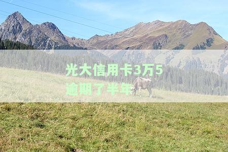 光大信用卡3万5逾期了半年