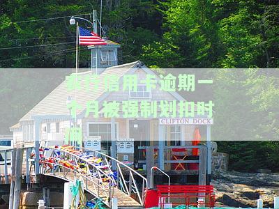 农业银行逾期一个月影响其他信用卡提额吗，农业银行逾期一个月是否会影响其他信用卡的提额?