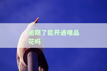 唯品花逾期5天，警惕！您的唯品花已经逾期5天，请尽快还款以避免产生更多罚款