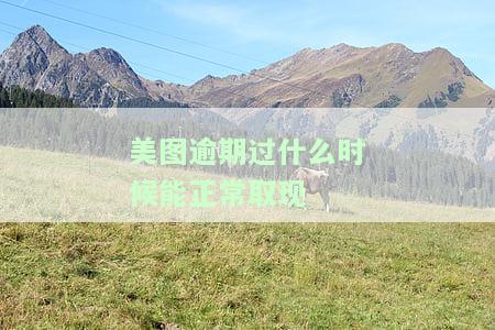 美图逾期怎么办？解决办法全解析