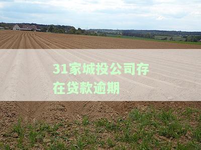 31家城投公司存在贷款逾期问题，31家城投公司陷入贷款逾期困境