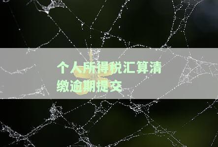 个人所得税汇算清缴逾期提交如何处理？