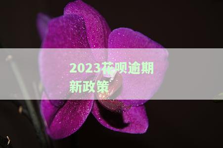 2023花呗逾期新政策是什么，2023年最新花呗逾期政策解读