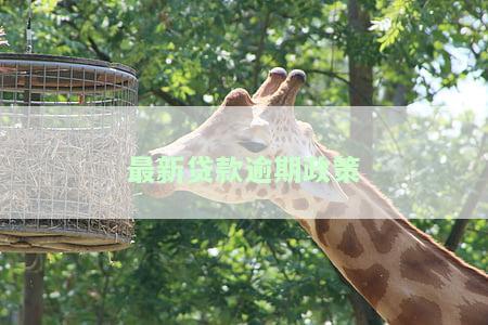 贷款逾期新规定，重要提醒：贷款逾期将面临新规定，务必注意还款日期