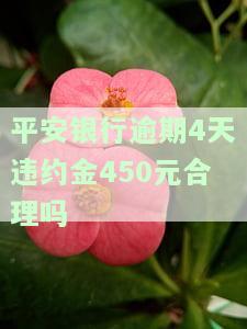平安银行逾期违约金多少？详解计算方法与金额