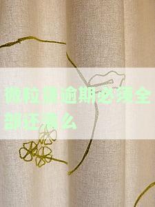 微粒贷逾期必须全部还清吗？解决方案与知乎讨论