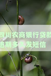 农商银行贷款逾期多久可被起诉？