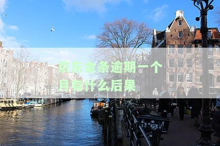 京东金条逾期一个月有什么后果