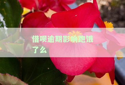 借呗逾期是否会影响出行？