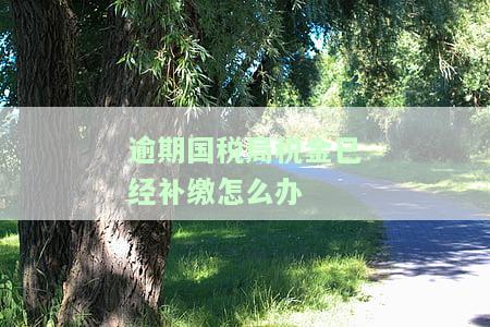 逾期国税局税金已经补缴怎么办