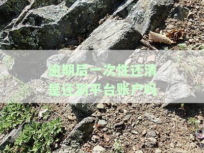 逾期一次性还清能否减少本金？