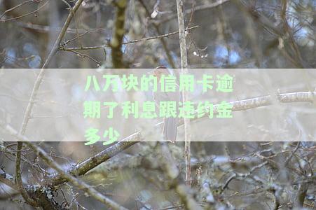 8万信用卡逾期了怎么办，8万信用卡逾期处理方法全攻略
