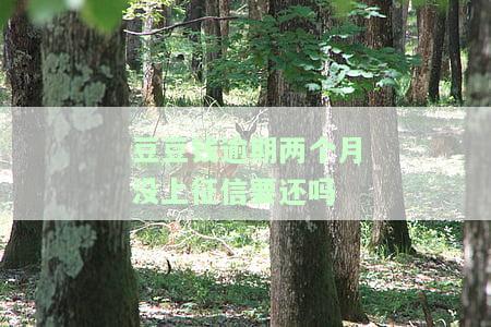 豆豆钱逾期2天6000多变成12000多？如何申请期还款？