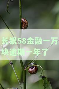 长银58金融：晚一天还款会有影响吗？