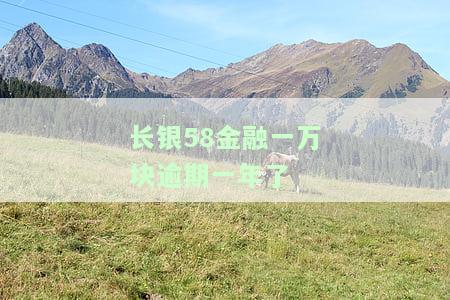 长银58逾期多久会上报征信，如何避免因逾期导致个人信用记录受损？——长银58贷款的逾期规定与影响解析