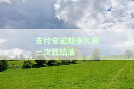 支付宝逾期多久需一次性结清贷款？