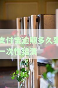支付宝逾期多久要一次性结清