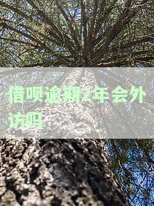 借呗逾期2年会外访吗？影响及解决办法全解析