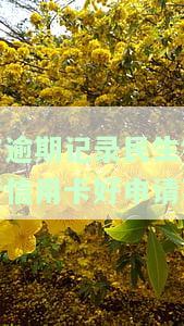 有逾期民生信用卡能否办理？相关问题解答