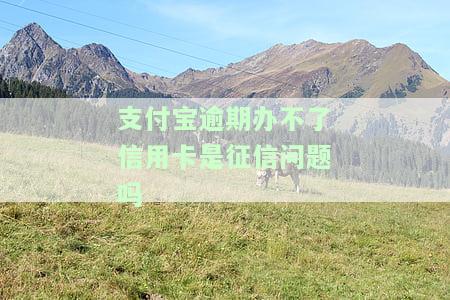 支付宝逾期信用卡办不了：解决方案与影响解析