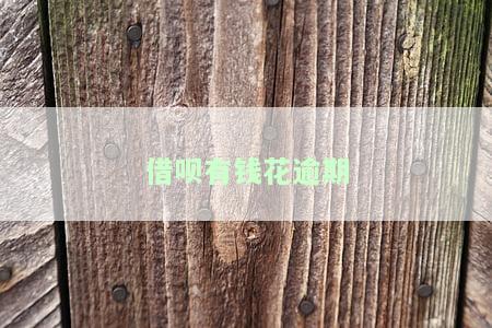 借呗有钱花逾期未跟平台协商，未协商，借呗与有钱花逾期还款遭困扰？