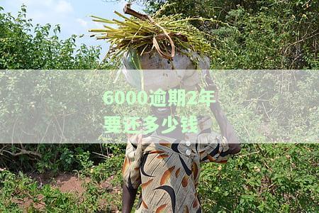 贷款6000逾期两年应还多少本金及利息？