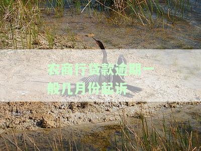 农商贷款逾期一个月后果严重，可能被起诉，一天逾期也会有影响