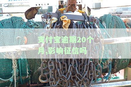 支付宝逾期20个月，会影响征信吗？