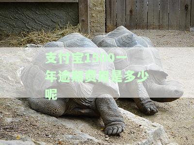 支付宝1500一年逾期费用多少？我的亲身经历