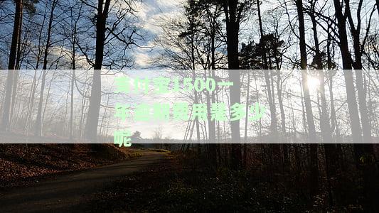 支付宝1500逾期一年亲身经历：被起诉风险及后果解析