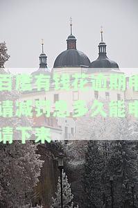 有钱花罚息一千多了：原因及解决办法