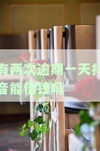 抖音逾期一天还款影响征信吗，抖音逾期一天还款会否影响个人征信？