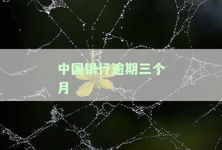 中行信用卡30000逾期3个月，如何处理欠款问题？