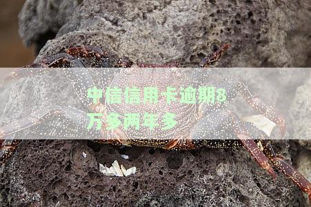 中信信用卡逾期8万多两年多利息多少？求解！