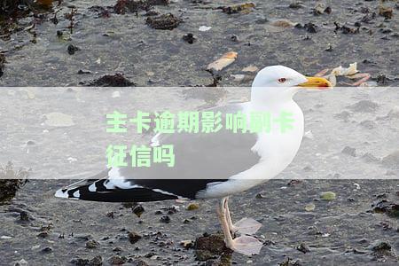 副卡逾期影响谁的征信，探讨副卡逾期对主卡持有人及个人征信的影响