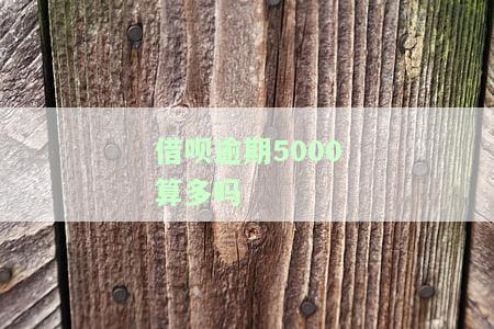 借呗逾期5千多是否会被告上法庭？