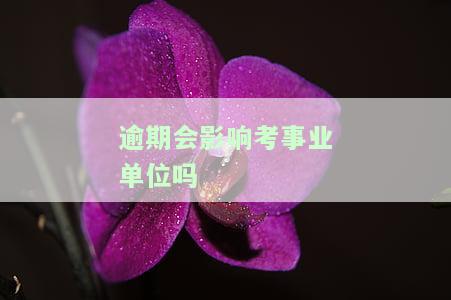 逾期对考事业单位有影响吗？探讨其可能的后果与解决方案